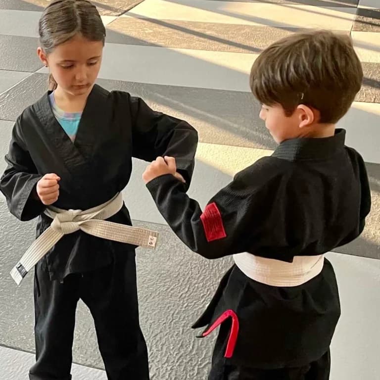 The Void Martial Arts