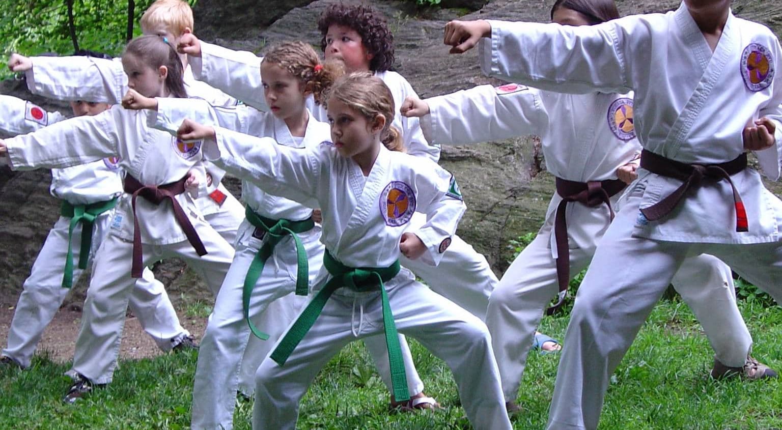 Fukasa Kai Martial Art
