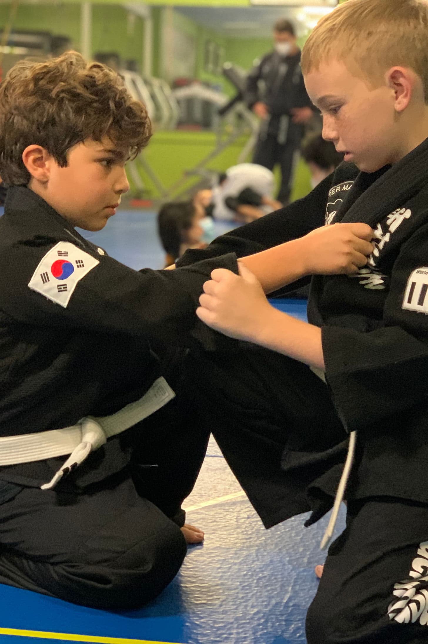 Master Martial Arts