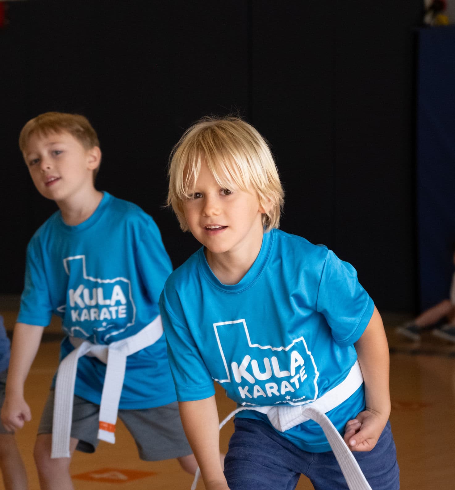 Half Day Karate Camp