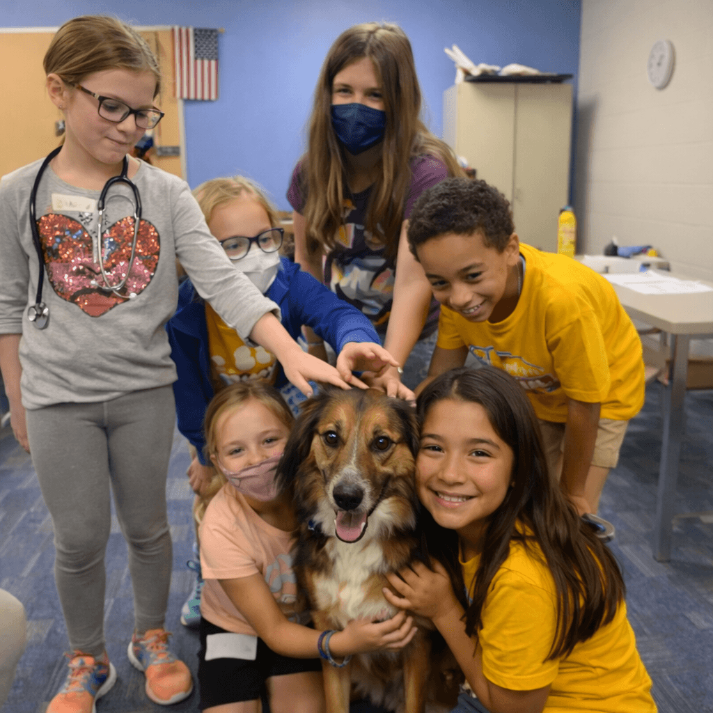 Summer Camp: Jr. Veterinary Medicine (One Community Church - Plano)