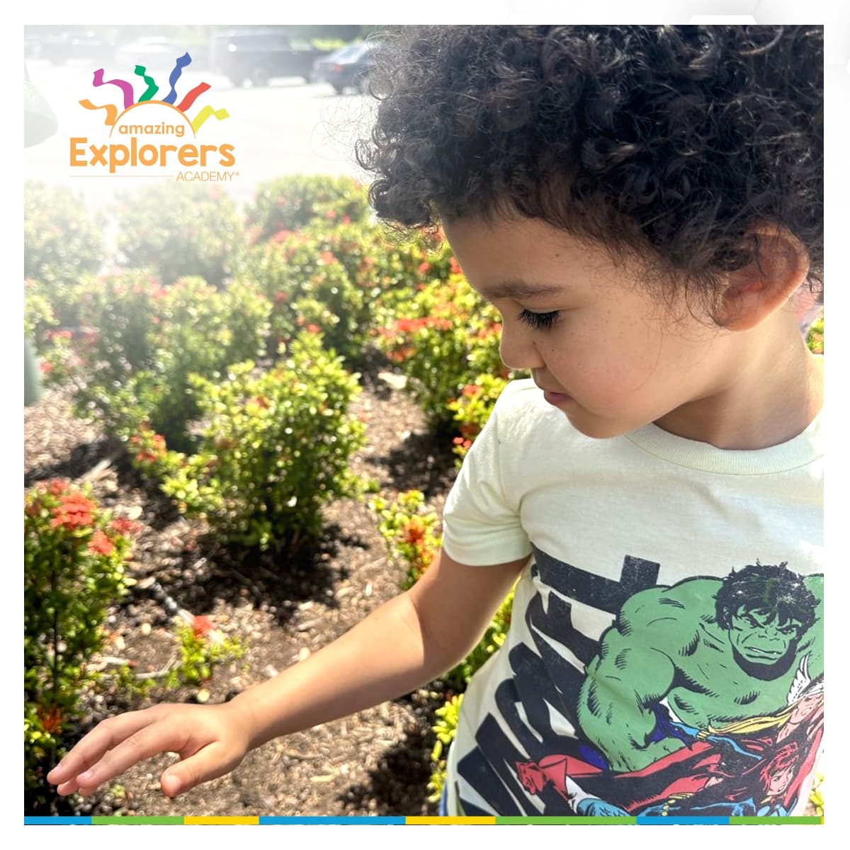 Amazing Explorers Academy