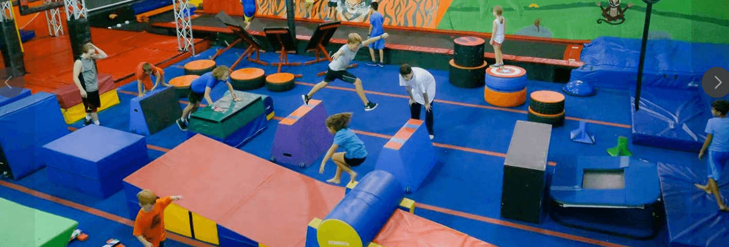 The Jungle Movement Academy