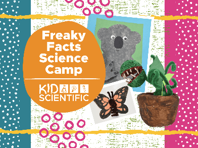 Freaky Facts Science Camp (Afternoon)