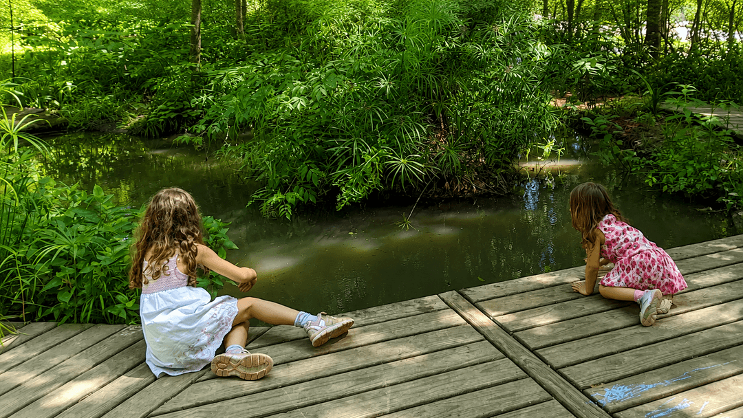 Nature Discovery Center