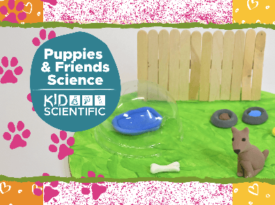 Puppies & Friends Science Summer Camp (Morning)