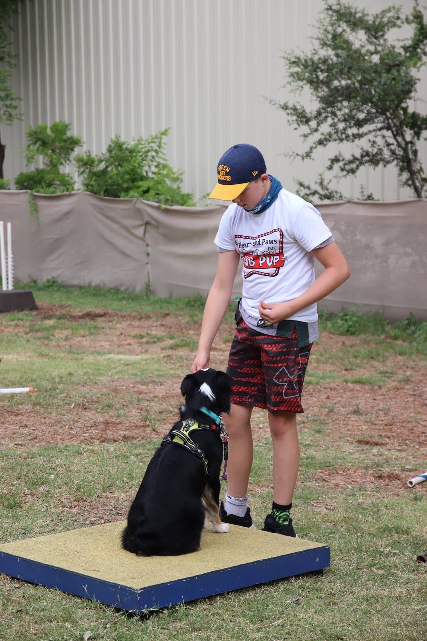 Hearts and Paws Camp
