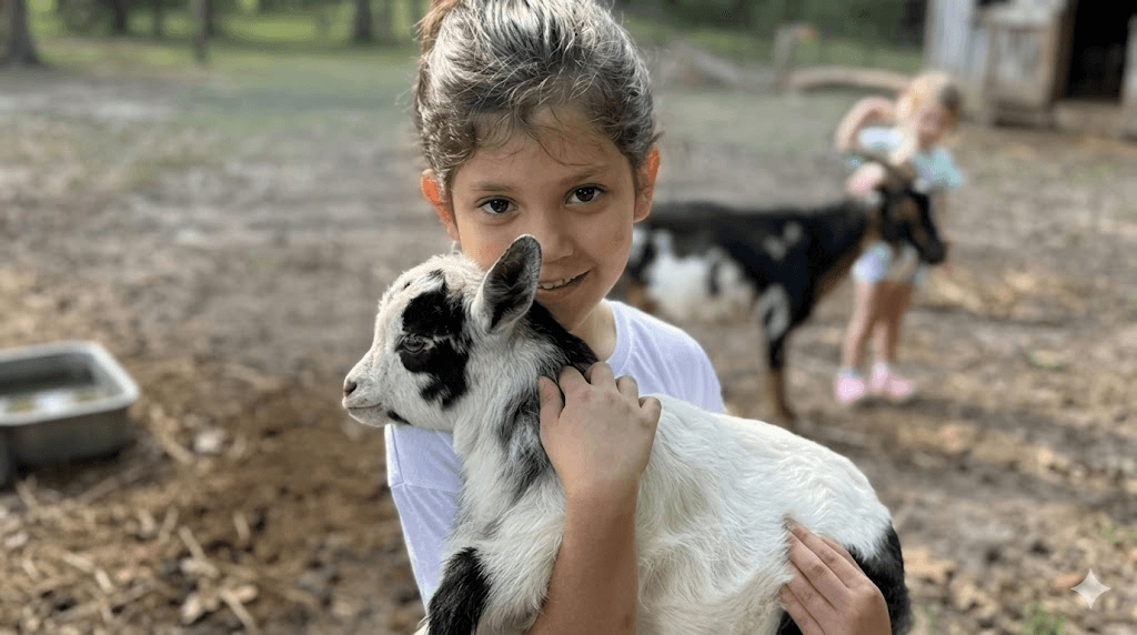 Mini Mischief Ranch