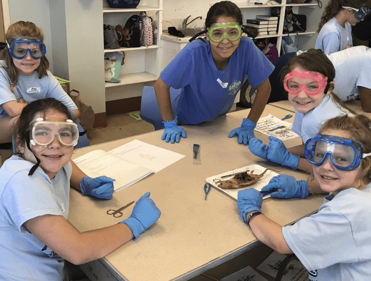 Summer Camp: Young Scientist (Willow Bend Church)