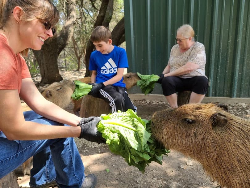 Austin Zoo Summer Camps
