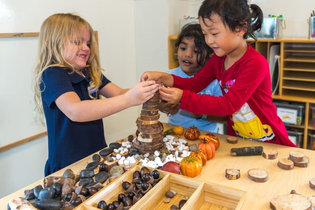 Carpe Diem Private Preschool