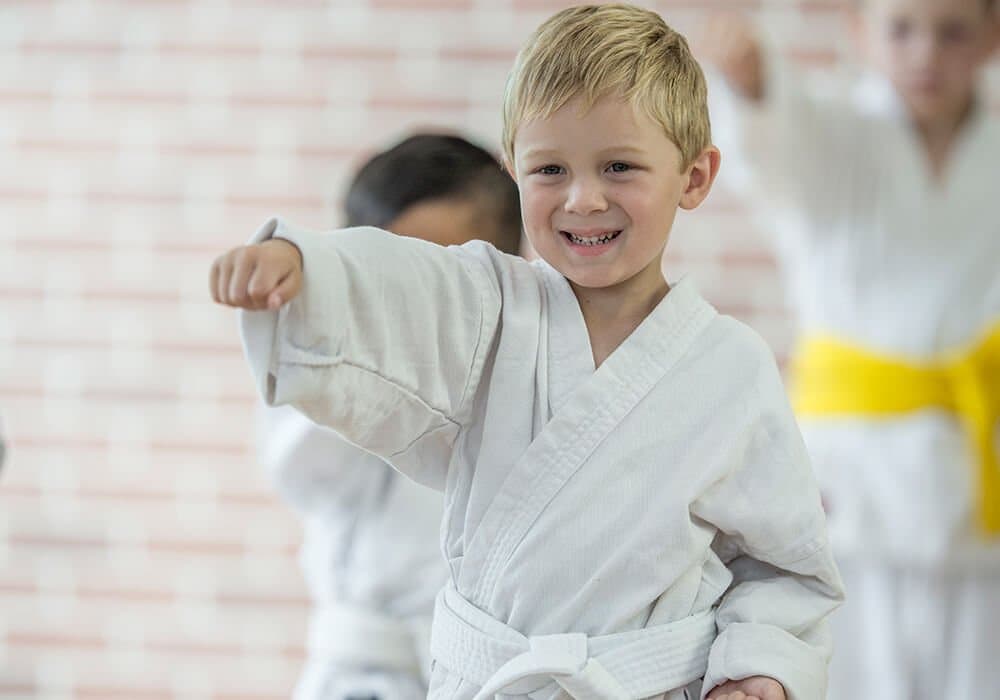 Meta Mixed Martial Arts
