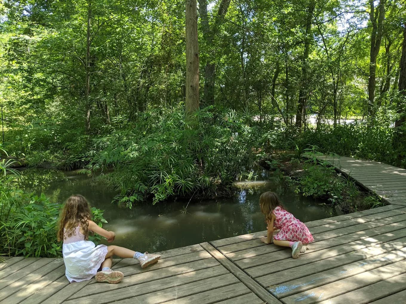 Summer Science Mini-Camp (Incredible Insects)